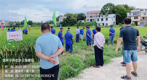 新兴隆 新气象 新未来---记平两优华占赣州市观摩会 