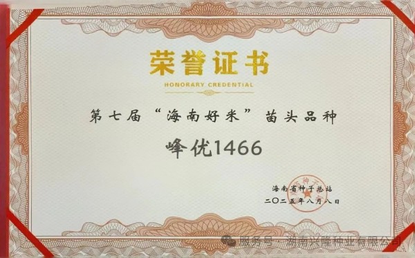 高端优质稻品种丨“峰优1466”荣获第七届“海南好米”苗头品种