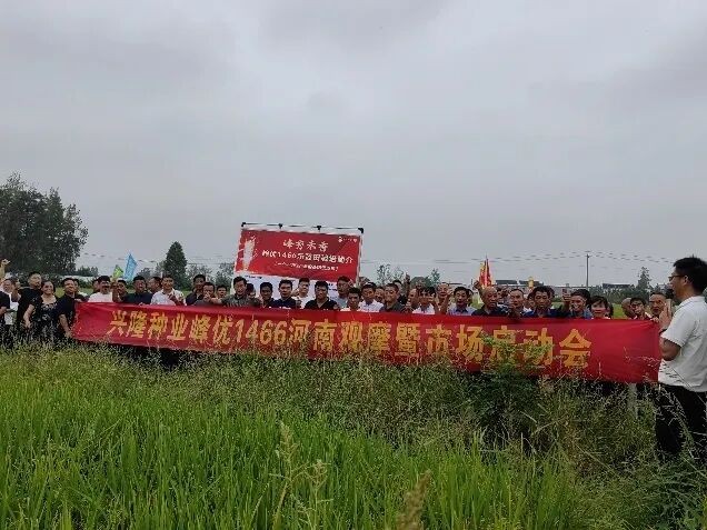 2024-2025年度峰优1466河南省级观摩暨市场启动会