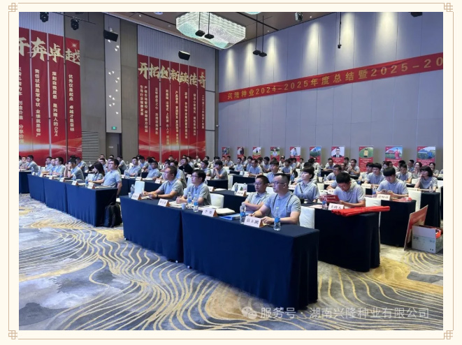苦干巧干奔卓越，开拓创新续传奇——兴隆种业2024-2025年度总结暨2025-2026年度规划会召开