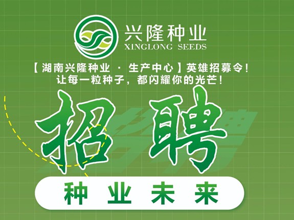 生产精英召集令！生产岗扩编，薪资福利全都为您配齐啦