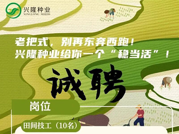 社招丨不怕你没文凭，就怕你不敢来！招的就是能吃苦的技术好手