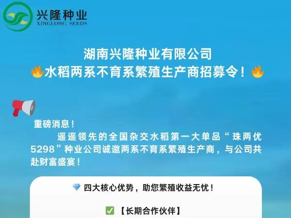 兴隆种业招募水稻两系不育系繁殖生产商