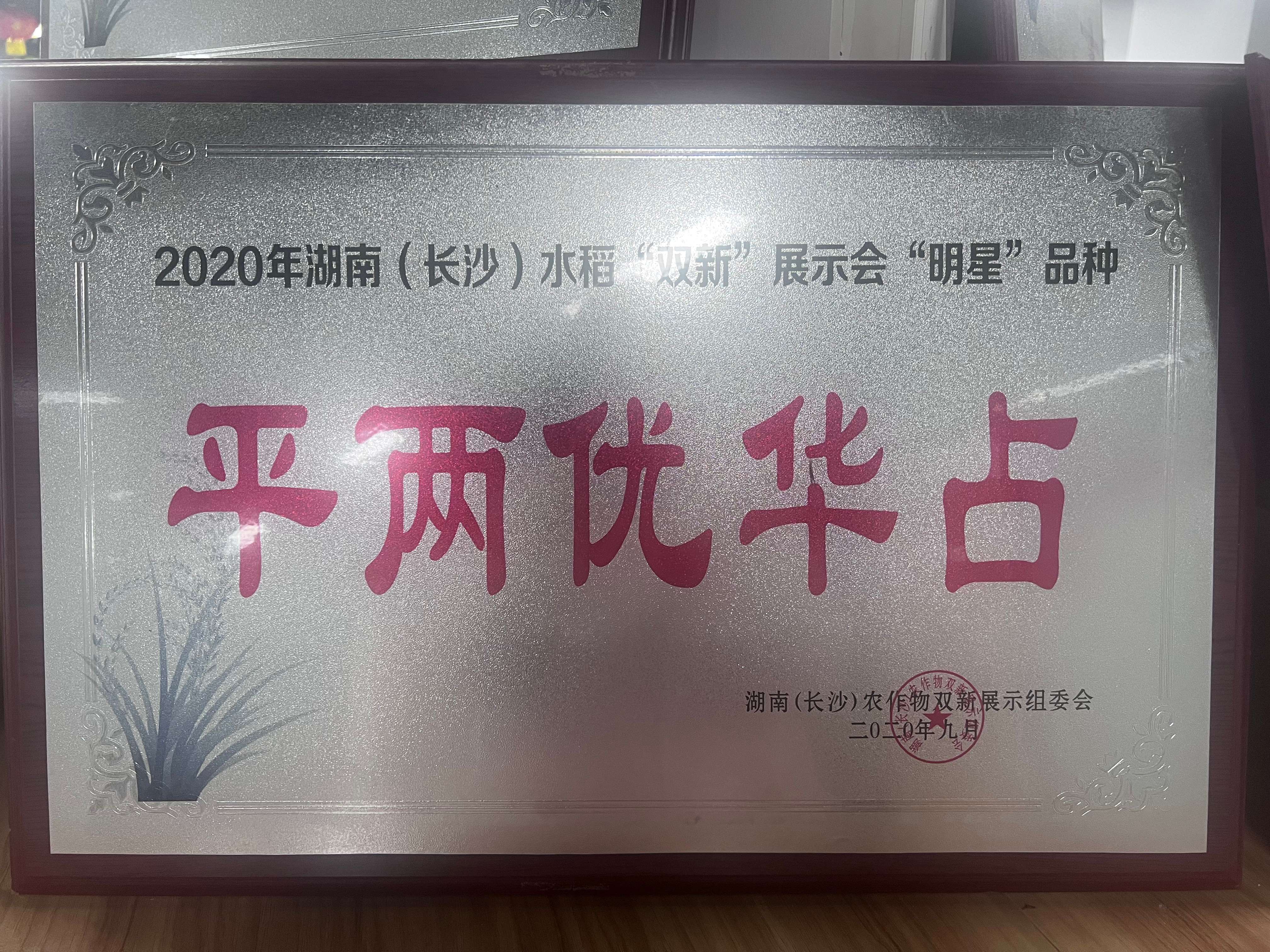 湖南(长沙)水稻“双新”展示会“明星”品种平两优华占