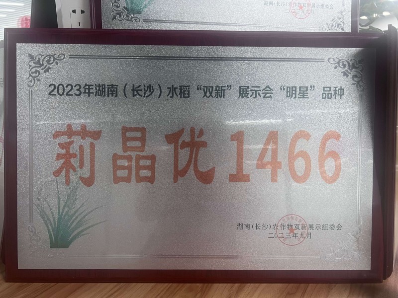 湖南(长沙)水稻“双新”展示会“明星”品种莉晶优1466