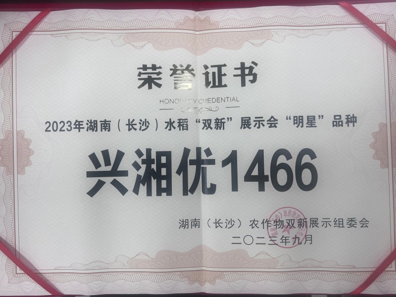 湖南(长沙)水稻“双新”展示会“明星”品种兴湘优1466