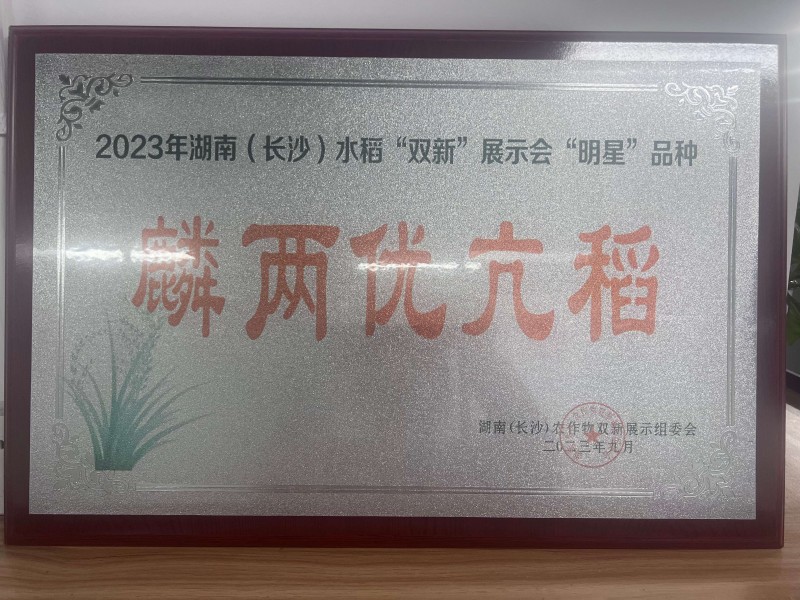 湖南(长沙)水稻“双新”展示会“明星”品种麟两优亢稻