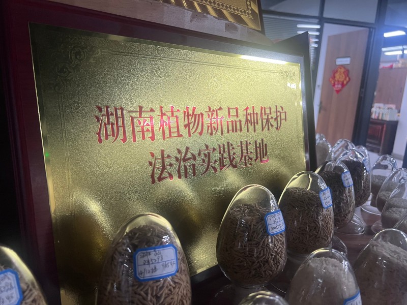 植物新品种保护法治研究基地