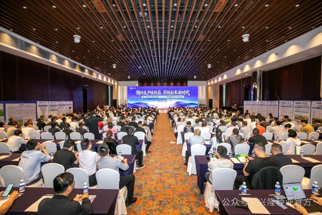 中国农网-第二届高端优质稻论坛暨2026-2027年度珠两优系列生产预约峰会召开