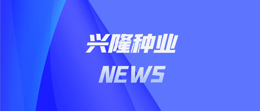 高效协同·追求卓越｜兴隆种业全国寻“会务搭子”，100-1000人/场