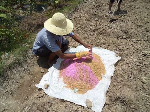 湖南兴隆种业有限公司,长沙稻谷种植与销售,长沙农作物品种的选育,长沙农业病虫害防治服务