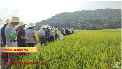 湖南兴隆种业有限公司,长沙稻谷种植与销售,长沙农作物品种的选育,长沙农业病虫害防治服务