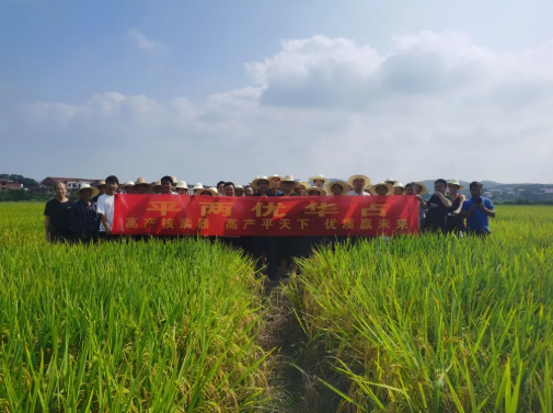 湖南兴隆种业有限公司,长沙稻谷种植与销售,长沙农作物品种的选育,长沙农业病虫害防治服务