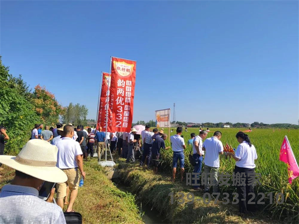 湖南兴隆种业有限公司,长沙稻谷种植与销售,长沙农作物品种的选育,长沙农业病虫害防治服务