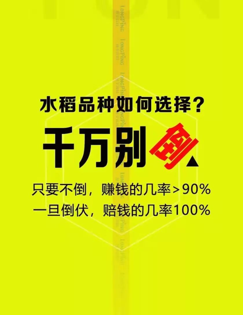 湖南兴隆种业有限公司,长沙稻谷种植与销售,长沙农作物品种的选育,长沙农业病虫害防治服务