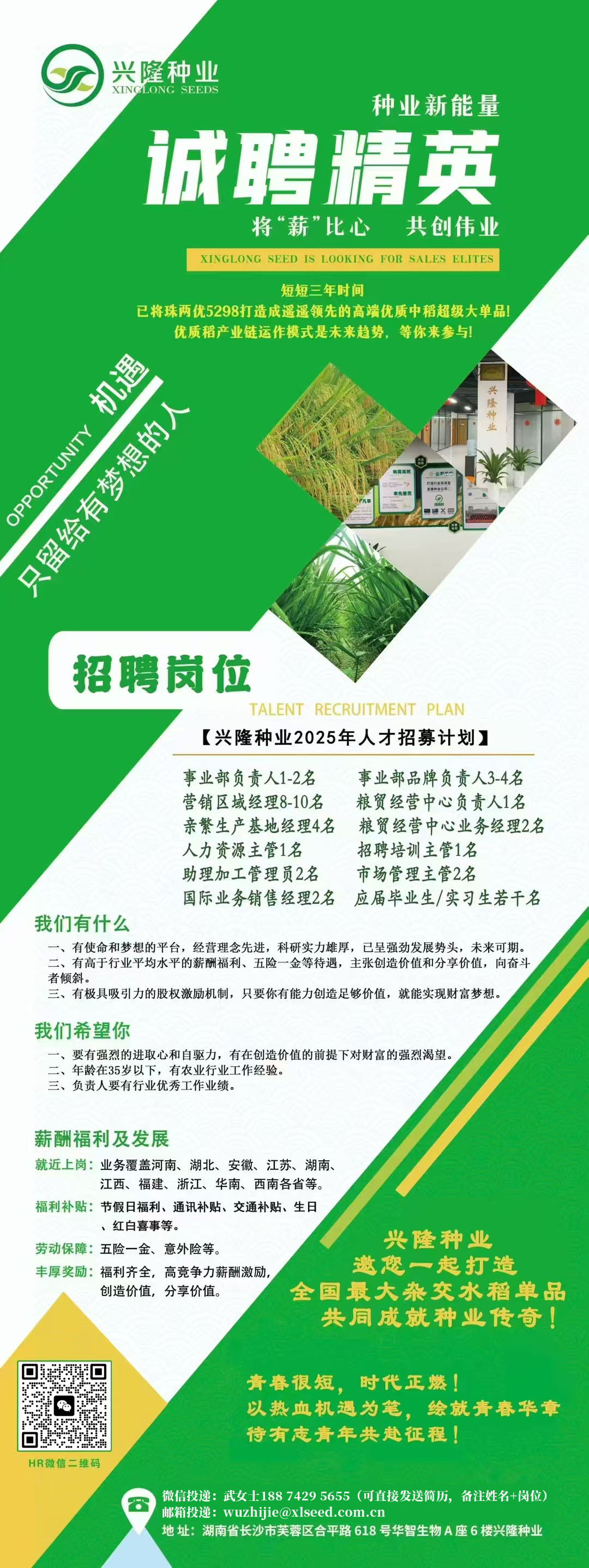 湖南兴隆种业有限公司,长沙稻谷种植与销售,长沙农作物品种的选育,长沙农业病虫害防治服务