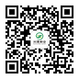 湖南兴隆种业有限公司,长沙稻谷种植与销售,长沙农作物品种的选育,长沙农业病虫害防治服务