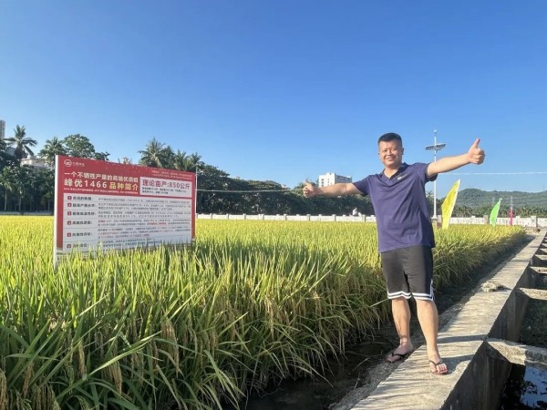 湖南兴隆种业有限公司,长沙稻谷种植与销售,长沙农作物品种的选育,长沙农业病虫害防治服务