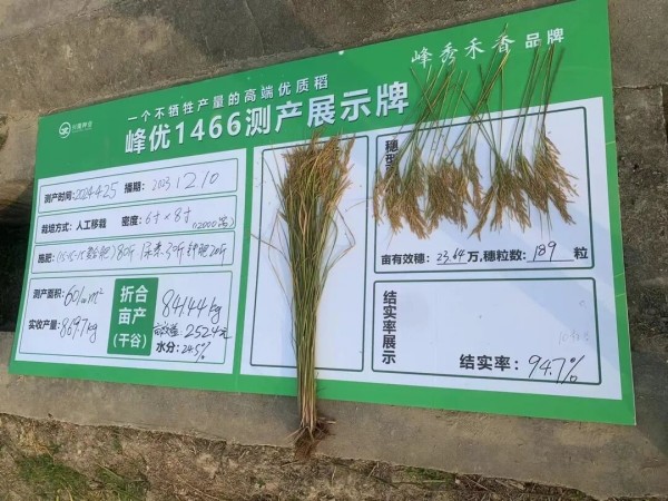 湖南兴隆种业有限公司,长沙稻谷种植与销售,长沙农作物品种的选育,长沙农业病虫害防治服务