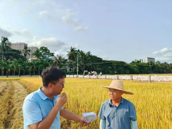 湖南兴隆种业有限公司,长沙稻谷种植与销售,长沙农作物品种的选育,长沙农业病虫害防治服务
