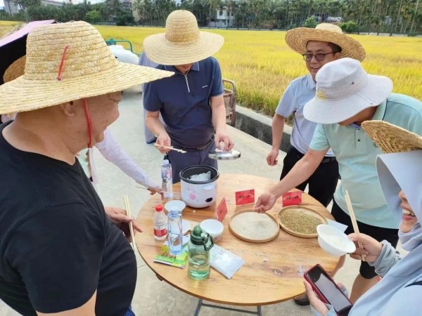 湖南兴隆种业有限公司,长沙稻谷种植与销售,长沙农作物品种的选育,长沙农业病虫害防治服务
