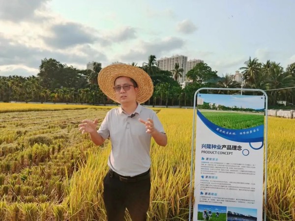 湖南兴隆种业有限公司,长沙稻谷种植与销售,长沙农作物品种的选育,长沙农业病虫害防治服务