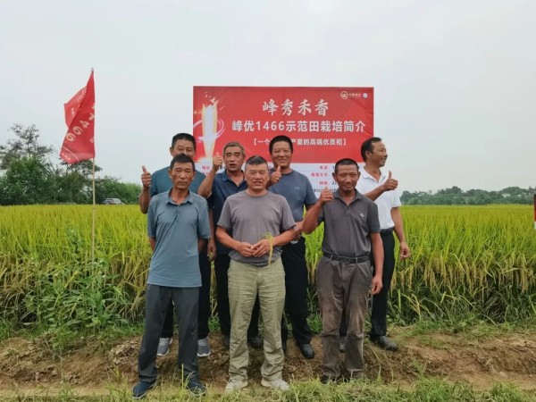 湖南兴隆种业有限公司,长沙稻谷种植与销售,长沙农作物品种的选育,长沙农业病虫害防治服务