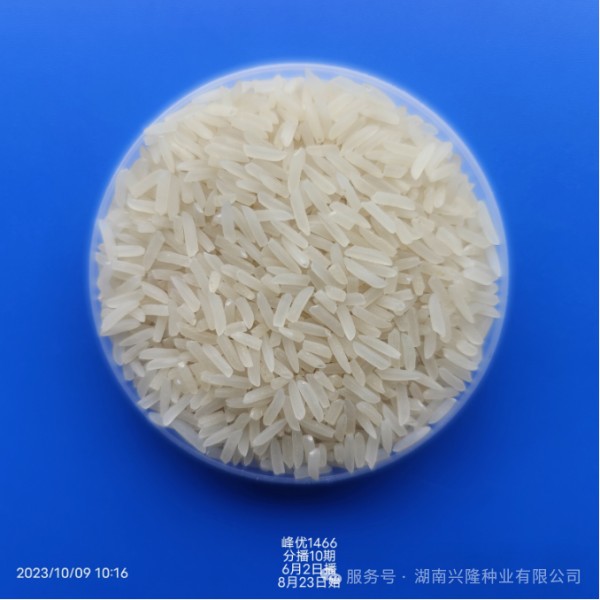 湖南兴隆种业有限公司,长沙稻谷种植与销售,长沙农作物品种的选育,长沙农业病虫害防治服务