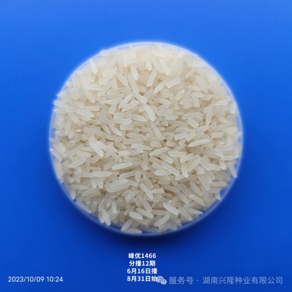 湖南兴隆种业有限公司,长沙稻谷种植与销售,长沙农作物品种的选育,长沙农业病虫害防治服务