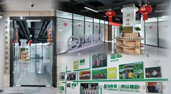 湖南兴隆种业有限公司,长沙稻谷种植与销售,长沙农作物品种的选育,长沙农业病虫害防治服务