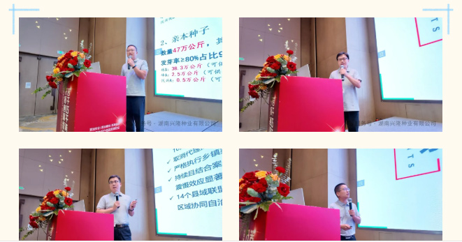 湖南兴隆种业有限公司,长沙稻谷种植与销售,长沙农作物品种的选育,长沙农业病虫害防治服务