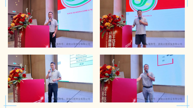 湖南兴隆种业有限公司,长沙稻谷种植与销售,长沙农作物品种的选育,长沙农业病虫害防治服务