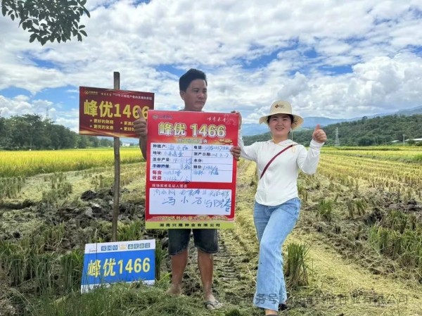 湖南兴隆种业有限公司,长沙稻谷种植与销售,长沙农作物品种的选育,长沙农业病虫害防治服务