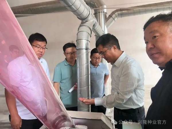 湖南兴隆种业有限公司,长沙稻谷种植与销售,长沙农作物品种的选育,长沙农业病虫害防治服务