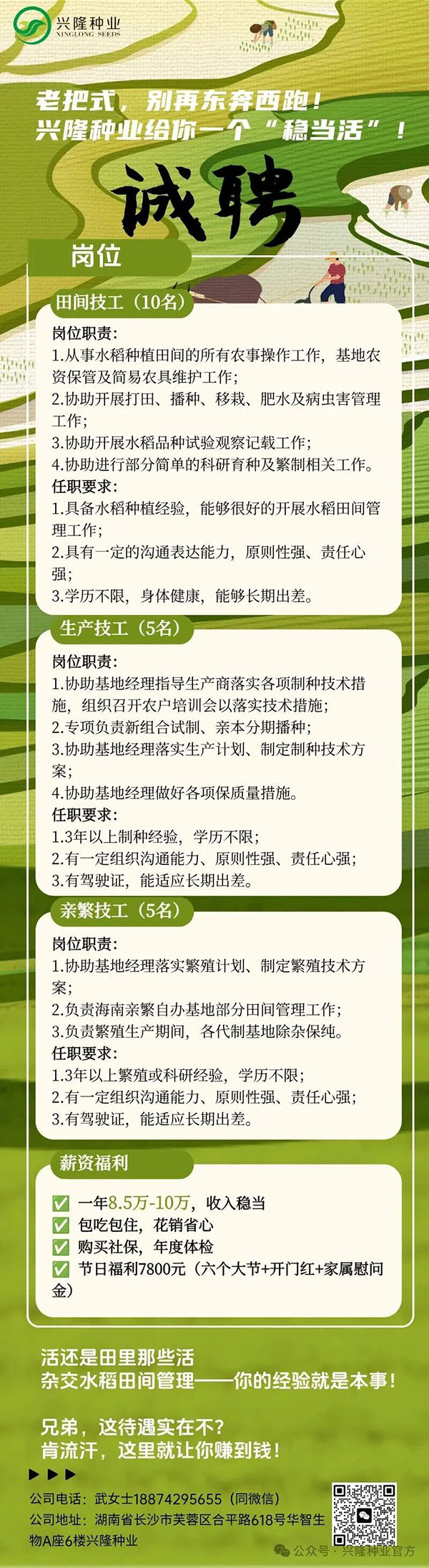 湖南兴隆种业有限公司,长沙稻谷种植与销售,长沙农作物品种的选育,长沙农业病虫害防治服务