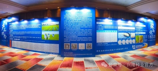 湖南兴隆种业有限公司,长沙稻谷种植与销售,长沙农作物品种的选育,长沙农业病虫害防治服务