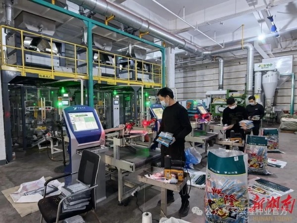 湖南兴隆种业有限公司,长沙稻谷种植与销售,长沙农作物品种的选育,长沙农业病虫害防治服务