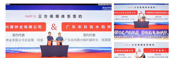 湖南兴隆种业有限公司,长沙稻谷种植与销售,长沙农作物品种的选育,长沙农业病虫害防治服务