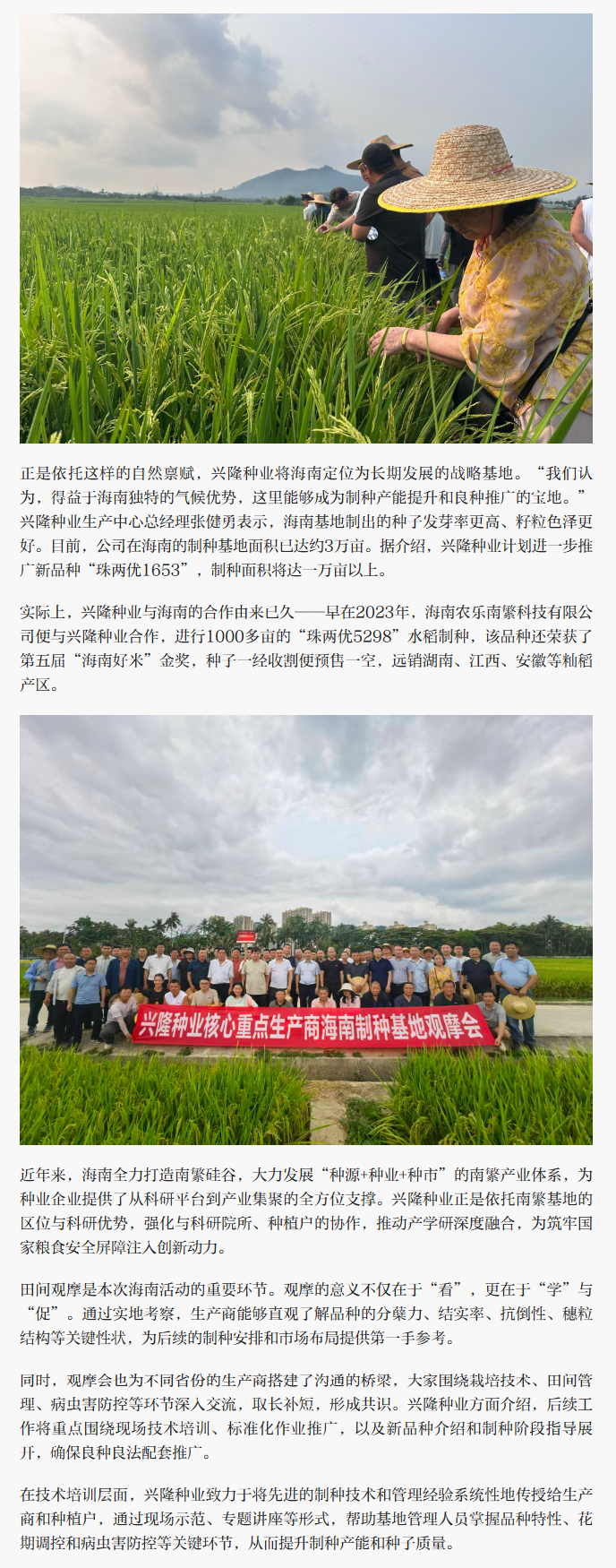 湖南兴隆种业有限公司,长沙稻谷种植与销售,长沙农作物品种的选育,长沙农业病虫害防治服务