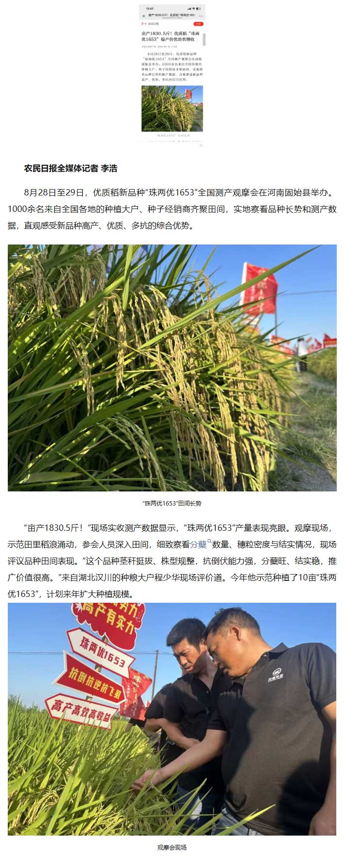 湖南兴隆种业有限公司,长沙稻谷种植与销售,长沙农作物品种的选育,长沙农业病虫害防治服务