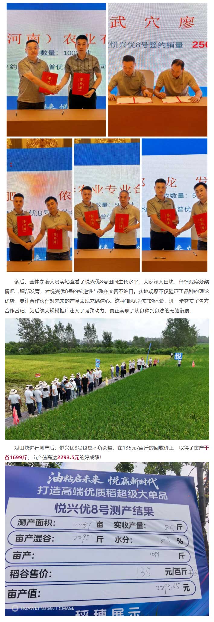 湖南兴隆种业有限公司,长沙稻谷种植与销售,长沙农作物品种的选育,长沙农业病虫害防治服务