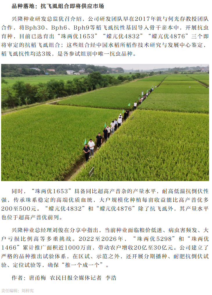 湖南兴隆种业有限公司,长沙稻谷种植与销售,长沙农作物品种的选育,长沙农业病虫害防治服务