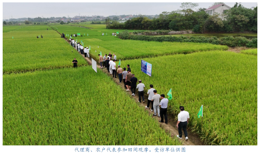 湖南兴隆种业有限公司,长沙稻谷种植与销售,长沙农作物品种的选育,长沙农业病虫害防治服务