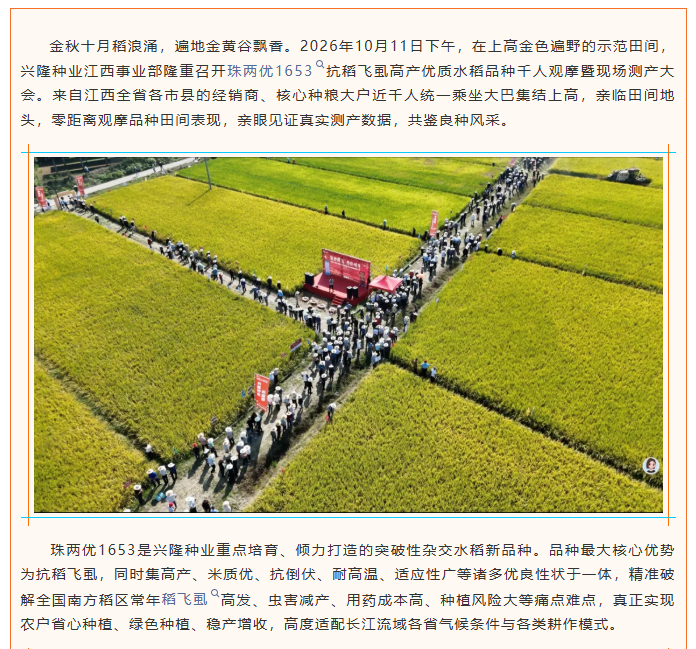湖南兴隆种业有限公司,长沙稻谷种植与销售,长沙农作物品种的选育,长沙农业病虫害防治服务