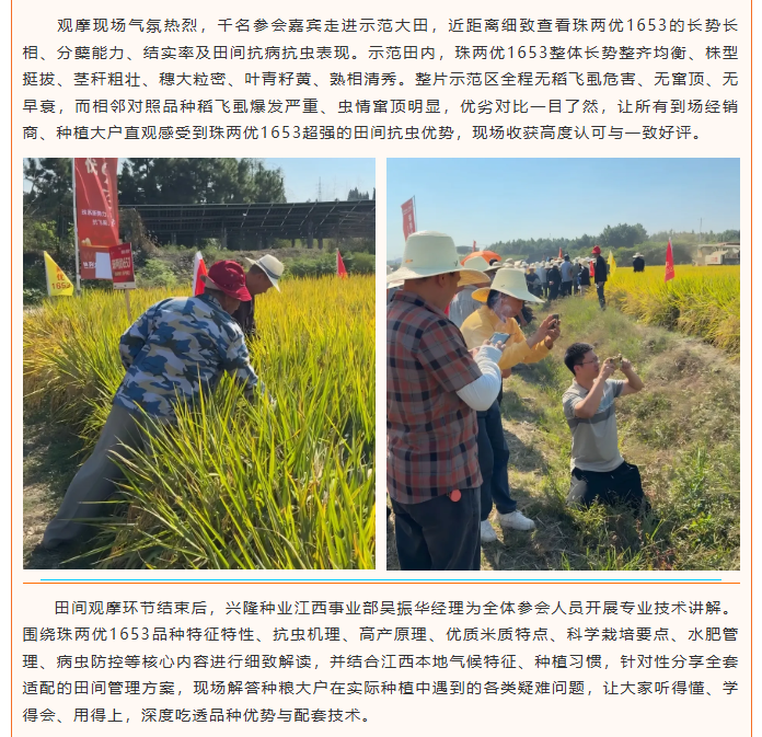 湖南兴隆种业有限公司,长沙稻谷种植与销售,长沙农作物品种的选育,长沙农业病虫害防治服务