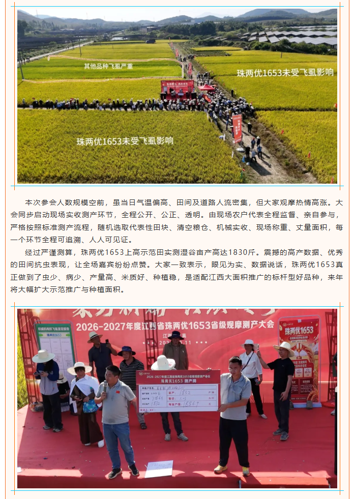 湖南兴隆种业有限公司,长沙稻谷种植与销售,长沙农作物品种的选育,长沙农业病虫害防治服务