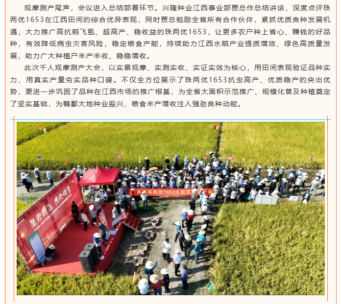 湖南兴隆种业有限公司,长沙稻谷种植与销售,长沙农作物品种的选育,长沙农业病虫害防治服务