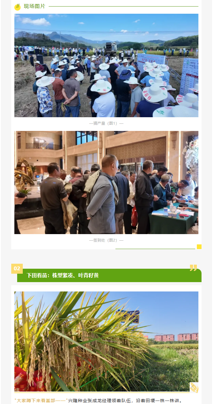 湖南兴隆种业有限公司,长沙稻谷种植与销售,长沙农作物品种的选育,长沙农业病虫害防治服务