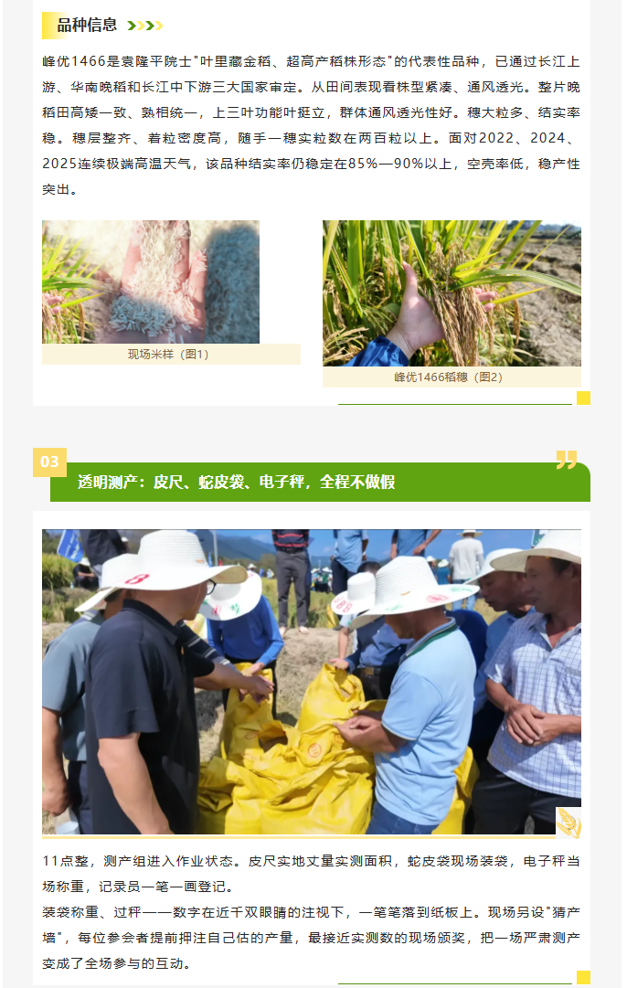 湖南兴隆种业有限公司,长沙稻谷种植与销售,长沙农作物品种的选育,长沙农业病虫害防治服务